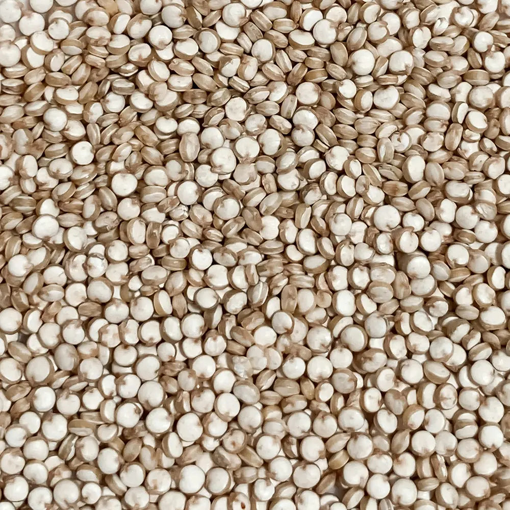 Vollkorn Quinoa aus Deutschland Bio