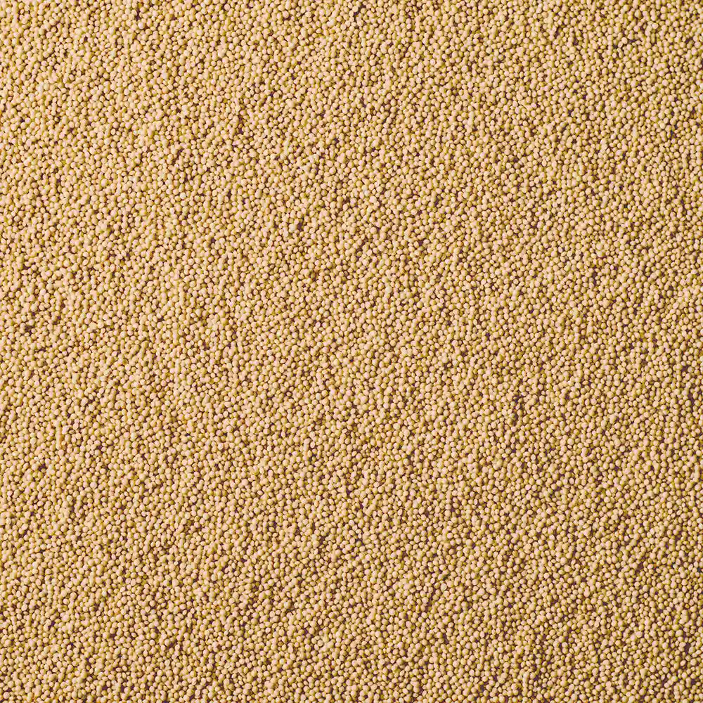 Amaranth Bio