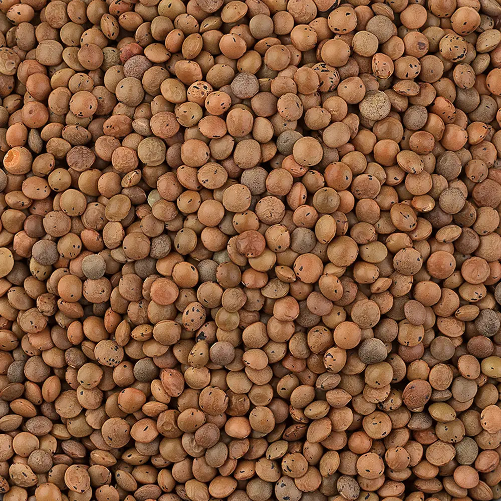 Berglinsen Bio