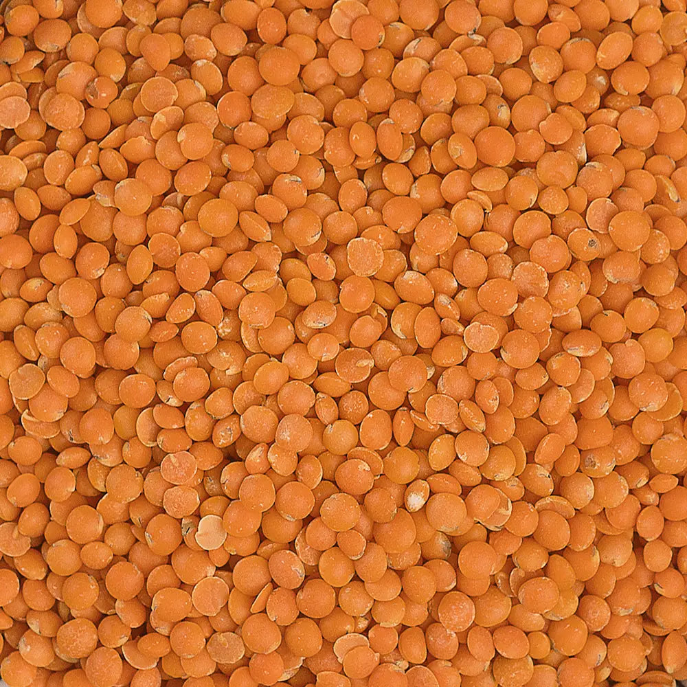 Rote Linsen Bio