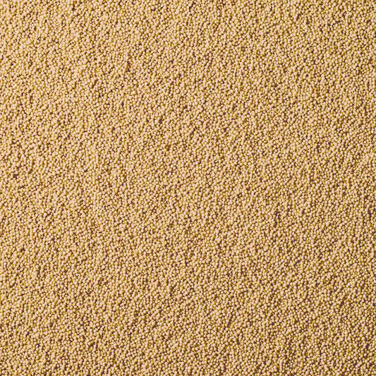 Amaranth Bio