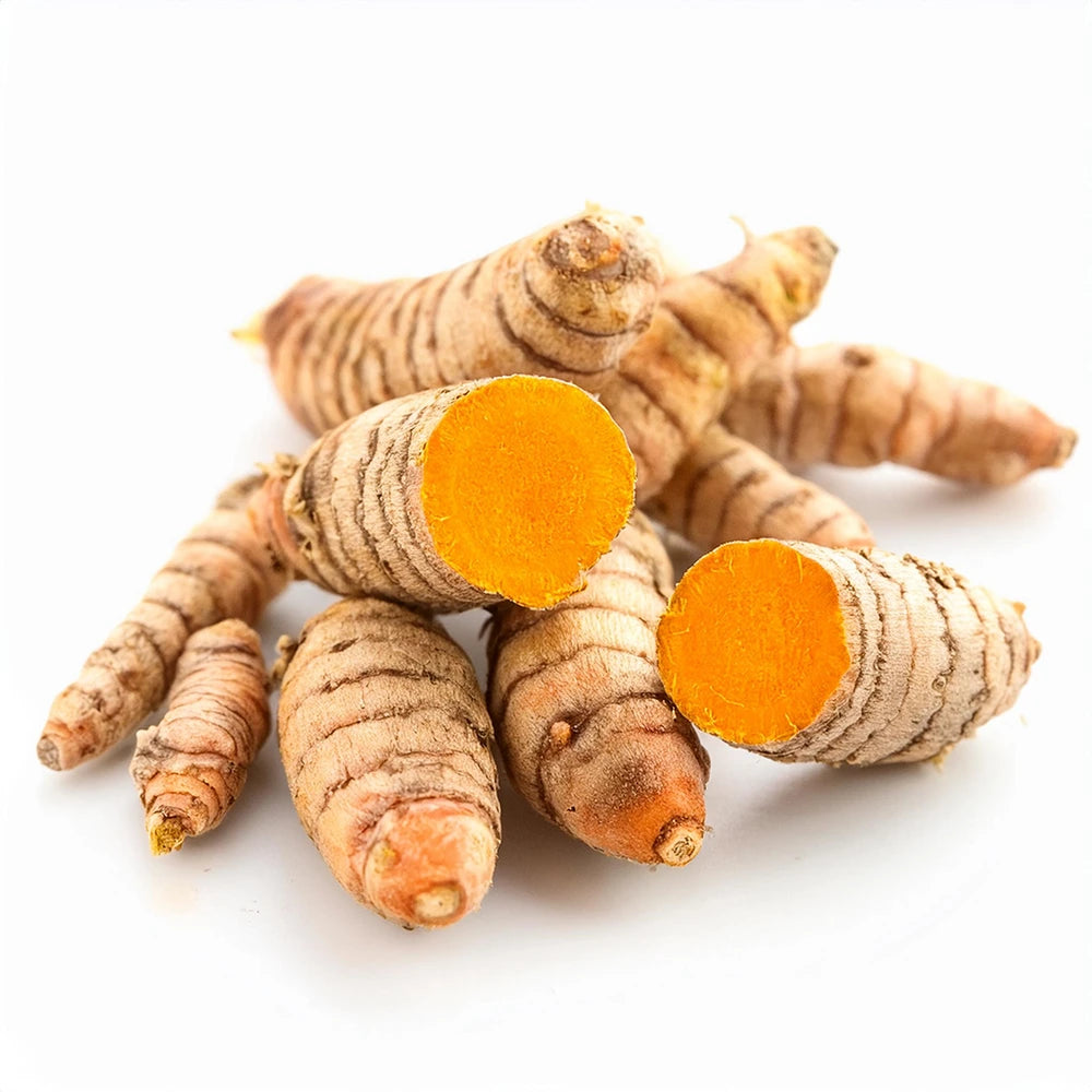 Kurkuma Bio